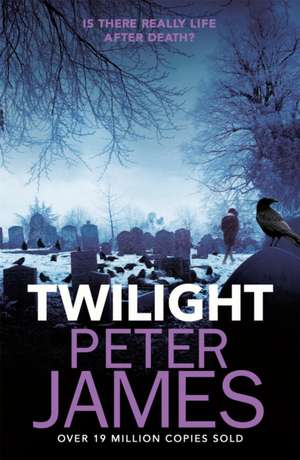 Twilight de Peter James