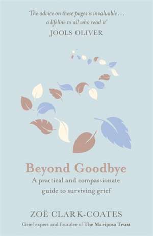 Beyond Goodbye de Zoe Clark-Coates