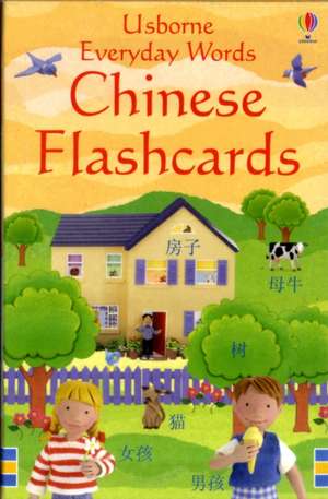 Everyday Words Chinese Flashcards de Kirsteen Rogers