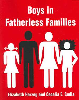 Boys in Fatherless Families de Elizabeth Herzog