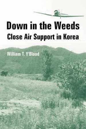 Down in the Weeds: Close Air Support in Korea de William T. Y'Blood