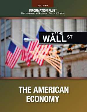 The American Economy de Information Plus