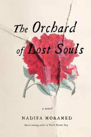 The Orchard of Lost Souls de Nadifa Mohamed