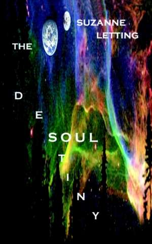 The Destiny Soul de Suzanne Letting