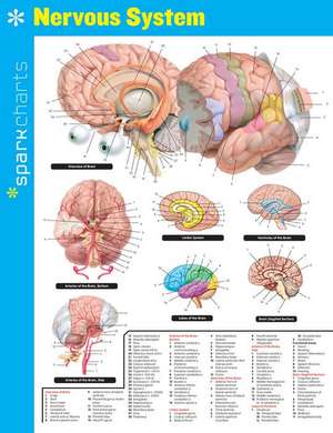 Nervous System de Sparknotes