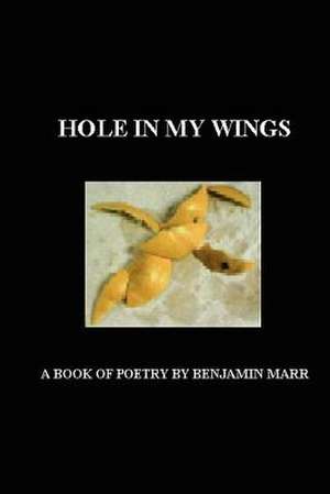 Hole in My Wings de Benjamin Marr