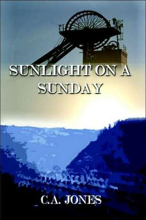 Sunlight on a Sunday: Its Cause and Treatment Without Operation Robert Bell M.D. de Allan Jones