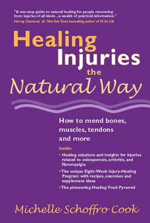 Healing Injuries the Natural Way de Michelle Schoffro Cook