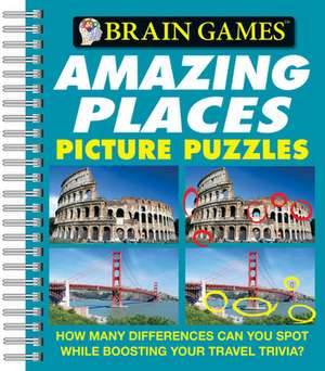 Amazing Places Picture Puzzles de Holli Fort