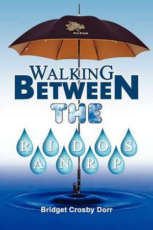 Walking Between the Raindrops de Bridget Crosby Dorr