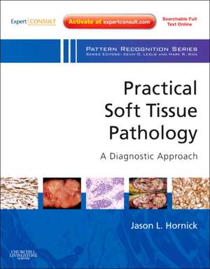 Practical Soft Tissue Pathology: A Diagnostic Approach: A Volume in the Pattern Recognition Series (Expert Consult: Online and Print) de Jason L. Hornick