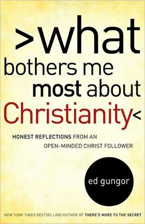 What Bothers Me Most about Christianity de Ed Gungor