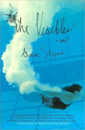 The Visibles de Sara Shepard