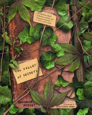 The Valley of Secrets de Charmian Hussey