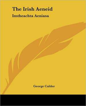 Calder, G: Irish Aeneid