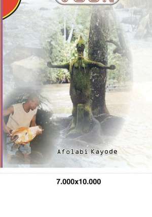 Osun in Colours: Pictorial History of the River Goddess, Osun de Kayode Afolabi