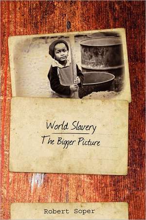 World Slavery: The Bigger Picture de Robert Soper