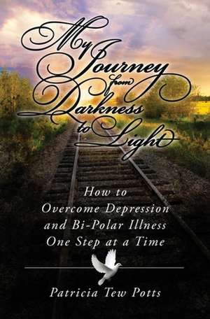 My Journey from Darkness to Light: How to Overcome Depression and Bi-Polar Illness One Step at a Time de Patricia Tew Potts