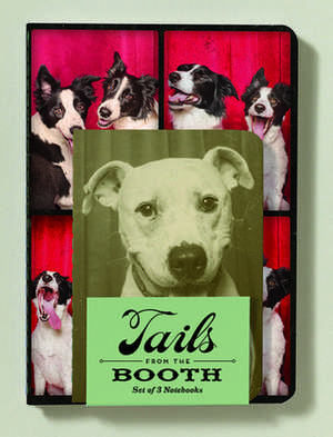 Tails from the Booth Notebooks (Set of 3): 100 Postcards de Terry Lynn