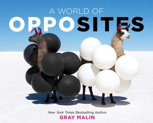 A World of Opposites de Gray Malin