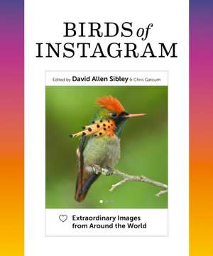 Birds of Instagram: Extraordinary Images from Around the World de David Allen Sibley