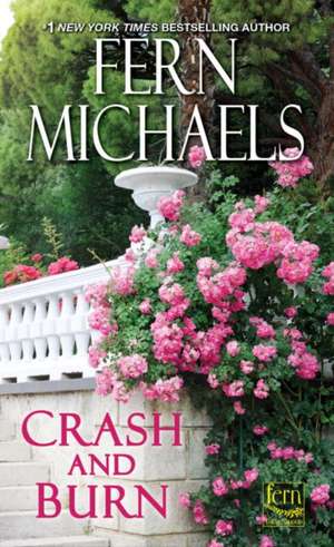 Crash and Burn de Fern Michaels