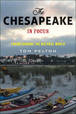 The Chesapeake in Focus – Transforming the Natural World de Tom Pelton