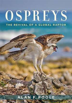 Ospreys – The Revival of a Global Raptor de Alan F. Poole