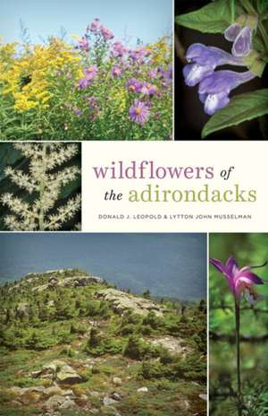 Wildflowers of the Adirondacks de Donald J. Leopold