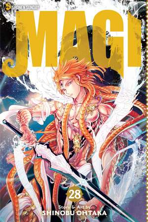 Magi, Vol. 28: The Labyrinth of Magic de Shinobu Ohtaka