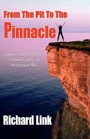 From the Pit to the Pinnacle: A Journey Beneath the Surface de Richard Link