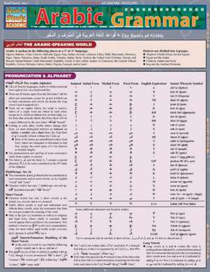 Arabic Grammar Laminated Reference Charts de Joseph Abraham Levi