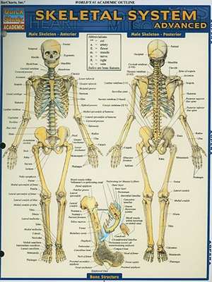 Skeletal System de Vincent Perez