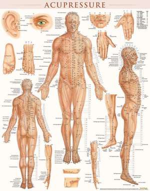 Acupressure-Laminated de BarCharts Inc