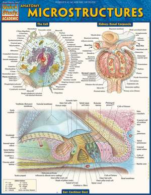 Anatomy: Microstructures de BarCharts Inc