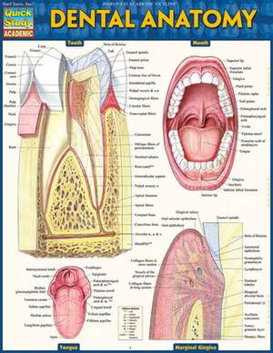 Dental Anatomy de Vincent Perez