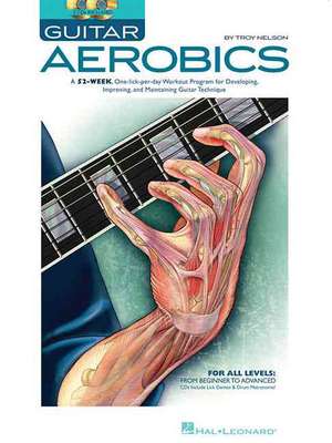 Guitar Aerobics de Troy Nelson