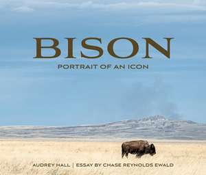 Bison de Chase Reynolds Ewald