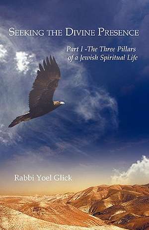 Seeking the Divine Presence de Yoel Glick