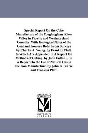 Special Report On the Coke Manufacture of the Youghiogheny River Valley in Fayette and Westmoreland Counties. With Geological Notes of the Coal and Iron ore Beds. From Surveys by Charles A. Young. by Franklin Platt. to Which Are Appended: I. A Report On M de Franklin Platt