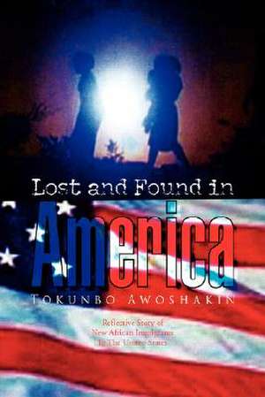 Lost and Found in America de Tokunbo Awoshakin