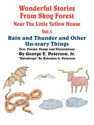 Wonderful Stories from Skog Forest Near The Little Yellow House Vol. 3: Rain and Thunder and Other Un-scary Things de George E. Peterson