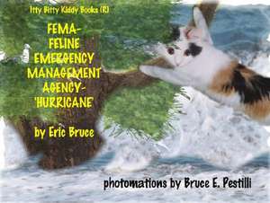 Fema-Feline Emergency Management Agency-Hurricane