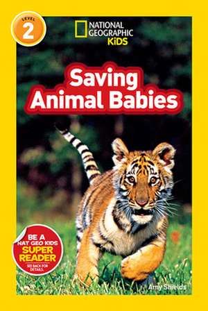 Saving Animal Babies de Amy Shields