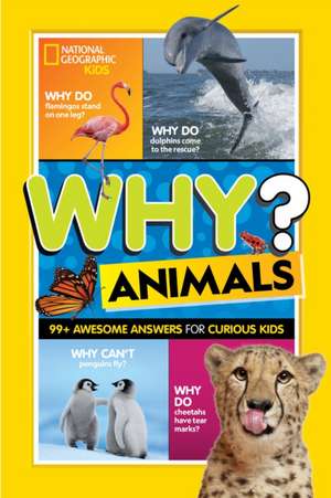 Why? Animals de Julie Beer
