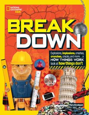 Break Down: Explosions, Implosions, Crashes, Crunches, Cracks, and More ... a How Things WOR K Look at How Things Don't de Mara Grunbaum