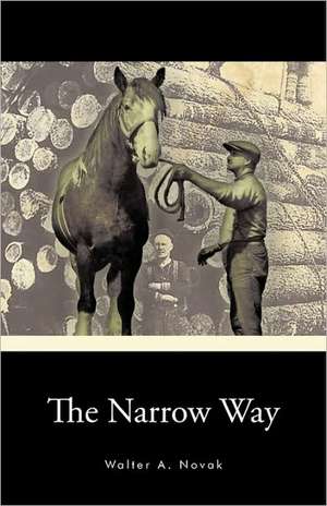 The Narrow Way de Walter A. Novak