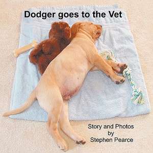 Dodger Goes to the Vet de Stephen Pearce