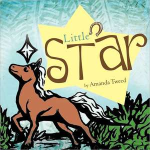 Little Star de Amanda Tweed