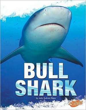 Bull Shark de Jody Sullivan Rake